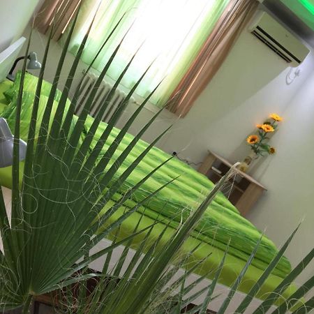 Green Dreams نوفي ساد المظهر الخارجي الصورة