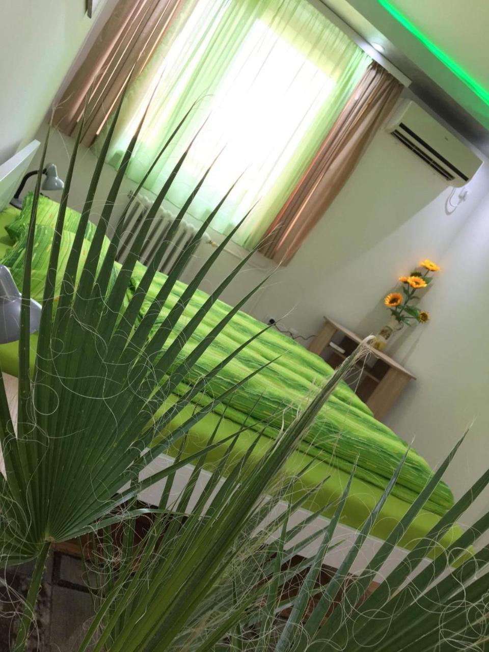 Green Dreams نوفي ساد المظهر الخارجي الصورة